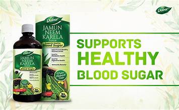 Dabur Jamun Neem Karela Juice 1L