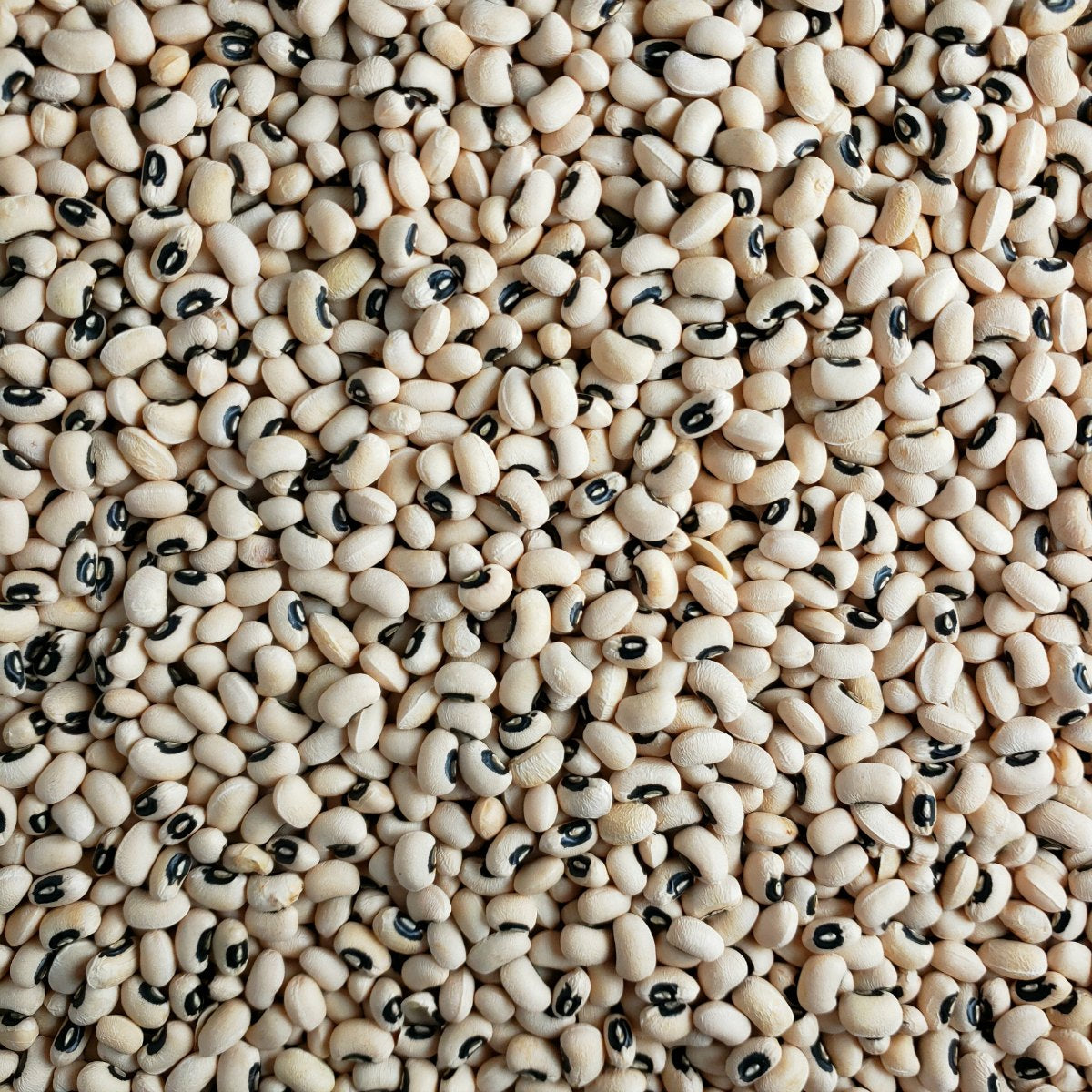 Black Eyed Beans 2lb