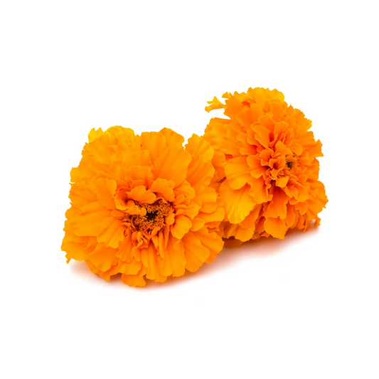 Fresh Orange Marigold - Genda Phool