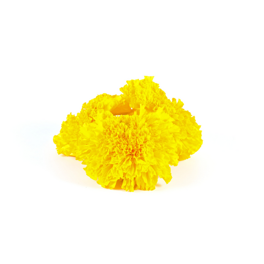 Fresh Yellow Marigold - Genda Phool