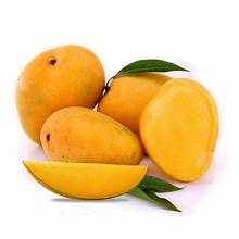 Fresh Kesar Mango 1 Dozen