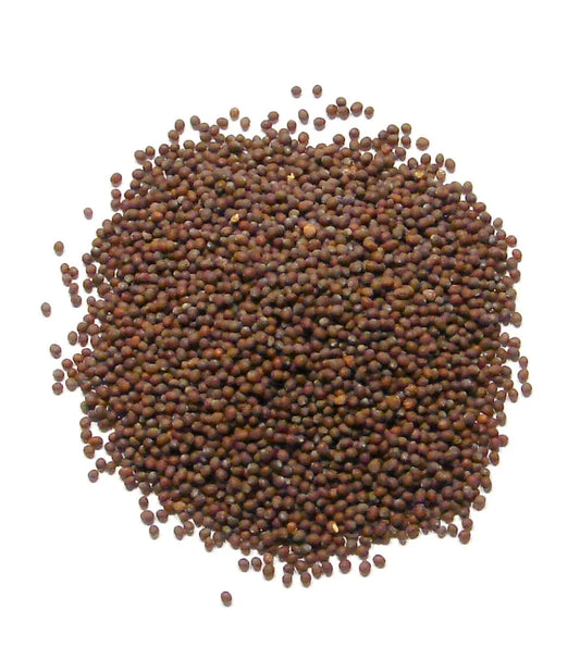 Shabros Mustard Seeds 400g