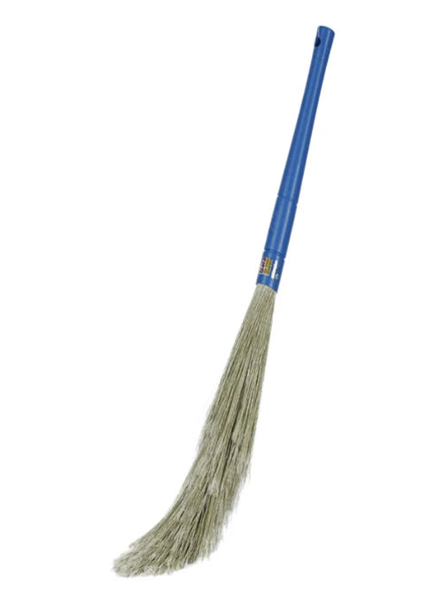 Indian Broom