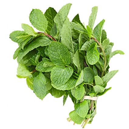 Mint Leaves (Pudeena) 1 bunch