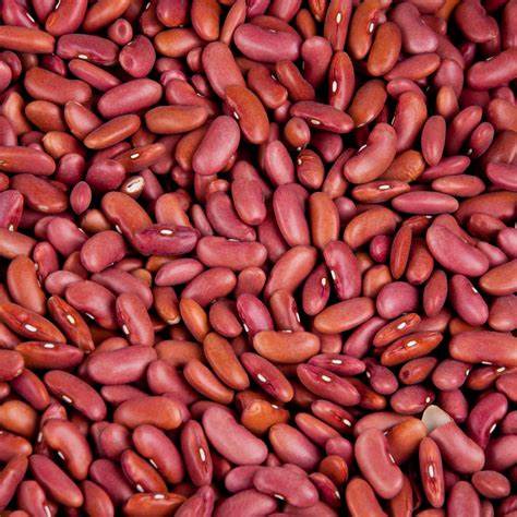 Red Kidney Beans Light / Rajma Light 4lb