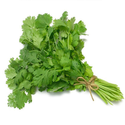 Fresh Coriander (Dhania) 1 Bunch